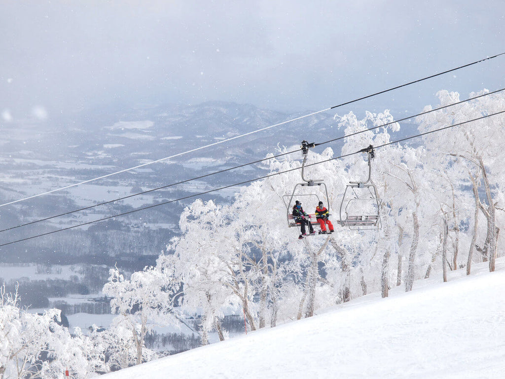 Niseko's Winter Wonderland: Snow & Adventure