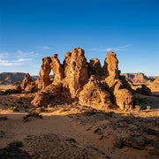 Algeria eSIM