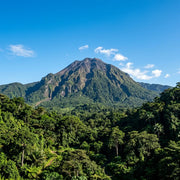 Travel eSIM for Cameroon