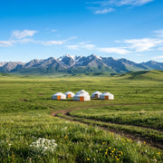 Travel eSIM for Mongolia