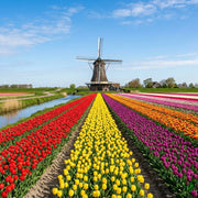 Netherlands eSIM
